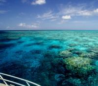 Coral Viewing Boat Cruise